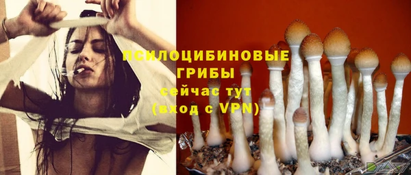 ECSTASY Аркадак